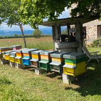 Nuclei e Famiglie di Api Ligustiche