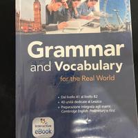 Grammar and Vocabulary for the Real World