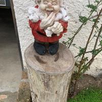 gnomi da giardino e ceppi di legno