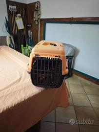 Trasportino animale