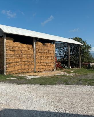 Fieno per cavalli, pecore e caprette in presse