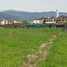 terreno-agricolo-montale-cod-rif-3299268vrg-