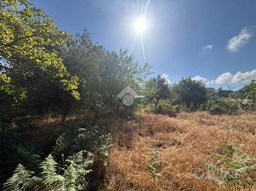 TER. RESIDENZIALE A NETTUNO