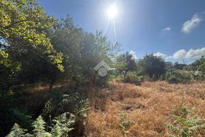 TER. RESIDENZIALE A NETTUNO