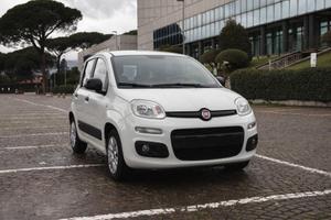 Fiat Panda 1.2 Benzina 2016