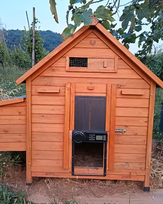 Pollaio in legno Cocincina XXXL usato 5 mesii