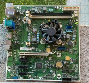 Scheda madre HP ProDesk 405 G2 – AMD A4-6250J