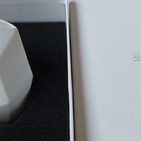 Design: Vaso Rosenthal NUOVO per pianta grassa ecc