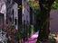 Immagine 20