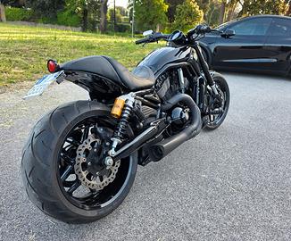 Harley Davidson Vrod night rod special 