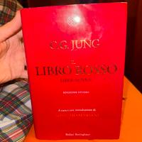 Il libro rosso (C G Jung)