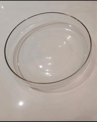 vaso in vetro