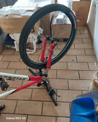 Bici mountainbike