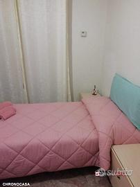 Contesse, camere per studentesse