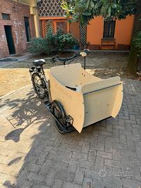 Johansson Fiete Vario Cargo Bike elettrica