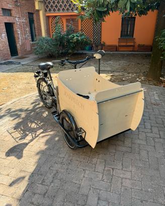 Johansson Fiete Vario Cargo Bike elettrica