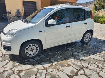 Fiat Panda Van  1.3 Multijet 80 cv S&S 4 posti