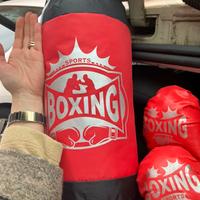 Sacco da box con guantoni