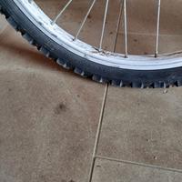 Mountain Bike usata per femminuccia con  raggio 20