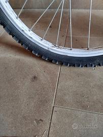 Mountain Bike usata per femminuccia con  raggio 20