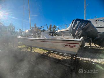 Boston Whaler Montauk 17  – Trieste centro