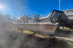 Boston Whaler Montauk 17  – Trieste centro