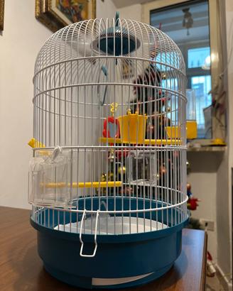 GABBIA PER COCORITE E PICCOLI UCCELLI