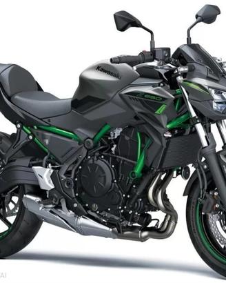 Kit Adesivi Full Set Kawasaki Z650 2024