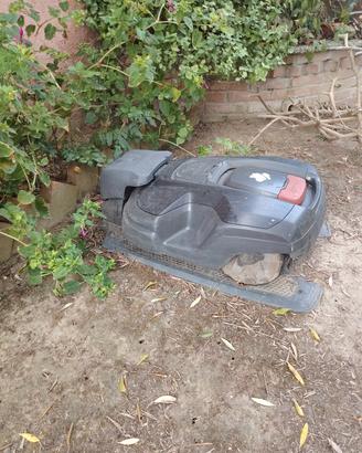 robot da giardino 