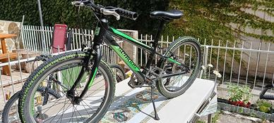 Bicicletta Serious 20 pollici