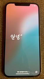 IPHONE 12 PRO MAX 256GB