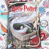 Harry Potter e il principe mezzosangue Salani 1ªed