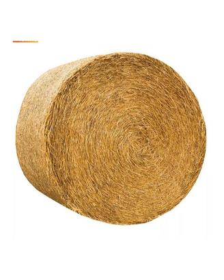 balle di paglia