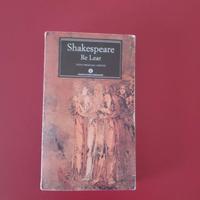 libro di letteratura 