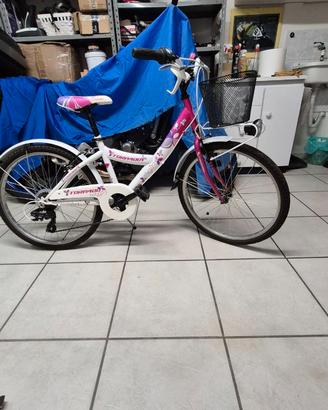 City bike 24