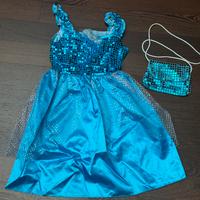 Costume principessa del ghiaccio
