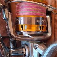 Daiwa Megaforce + Shimano Sedona 6000