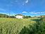 Immagine 9