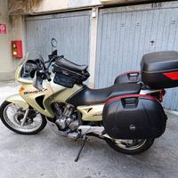 Honda Transalp perfetta.