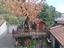 Immagine 18