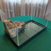 Acquario per Tartaruga