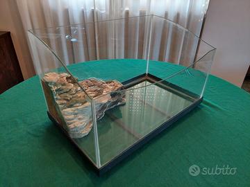 Acquario per Tartaruga