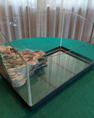 Acquario per Tartaruga