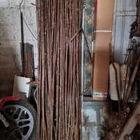 Palo in ferro da 16 mm tondo altezza 1,90