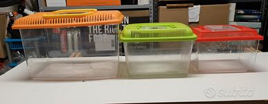 vaschetta vasca acquario pesci e tartarughe 