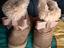 Immagine 2