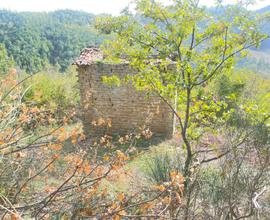 Casale di pietra con 4.5 Ha di terreno