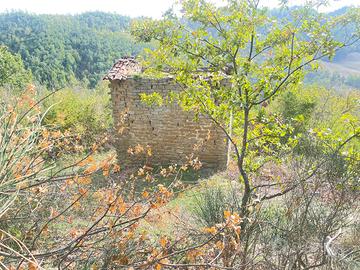 Casale di pietra con 4.5 Ha di terreno