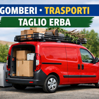 Sgomberi - trasporti - taglio erba