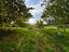 Immagine 20